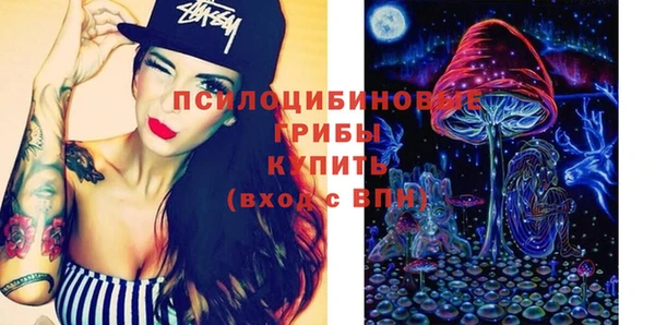 прущие грибы Алексин