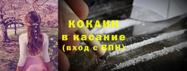 прущие грибы Алексин